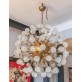 QZ2131 ROSE SPUTNIK